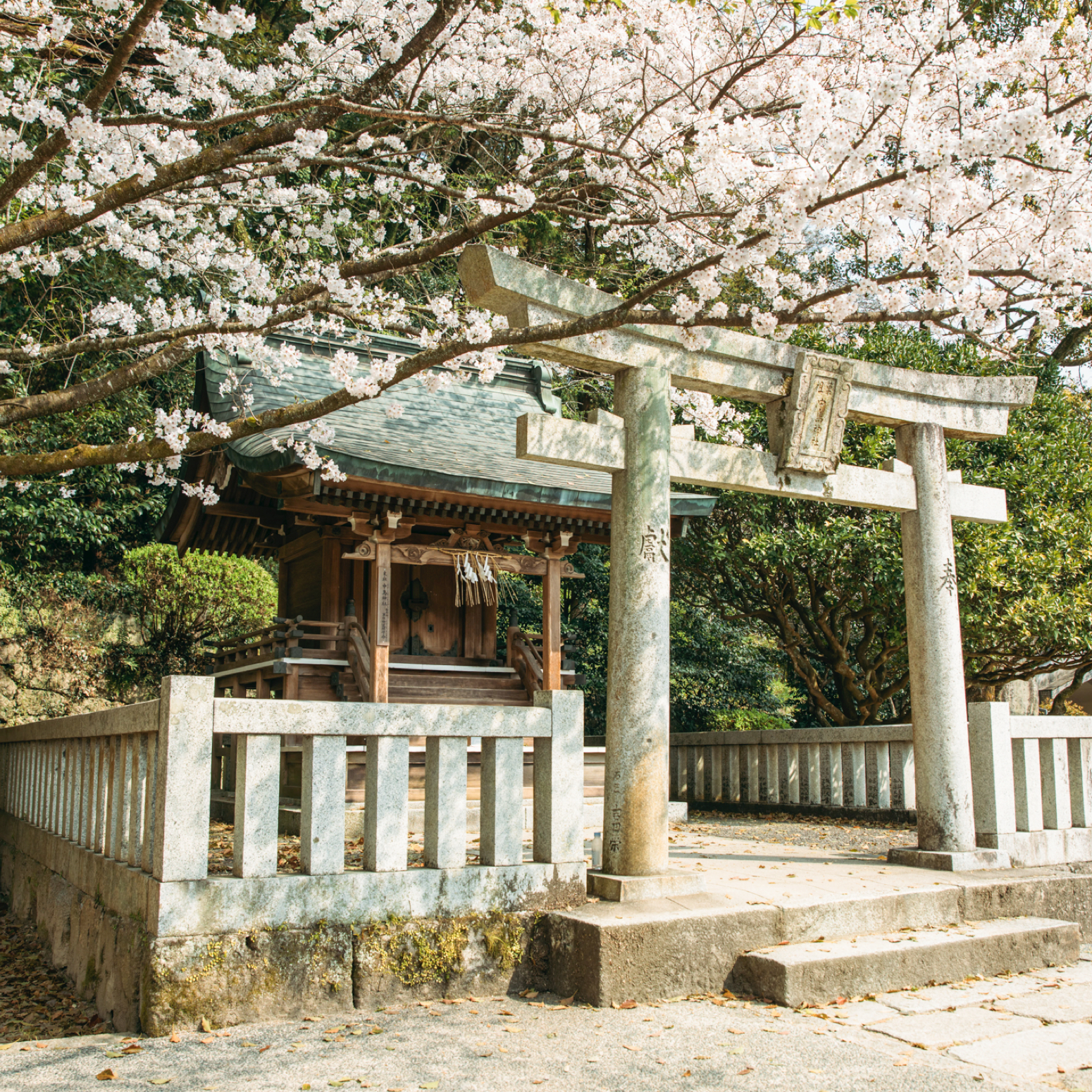 太宰府天満宮にある中島神社